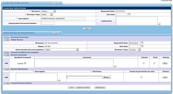 Figure 251 Protocol Document, Online Review Page 