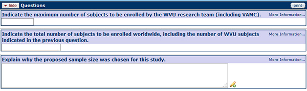 Figure 171 Protocol Document, Questionnaire Page –Sample Size Section