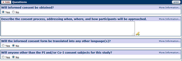 Figure 174 Protocol Document, Questionnaire Page –Consent Procedures Section