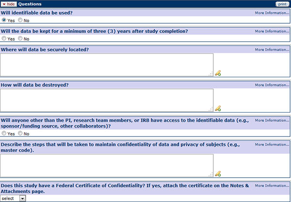 Figure 175 Protocol Document, Questionnaire Page –Confidentiality Section